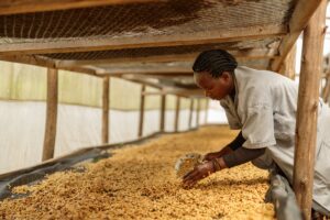 African Coffee
